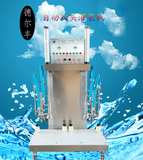 全自动啤酒桶清洗机双头 