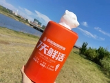 熊头全塑双层啤酒保鲜桶2L